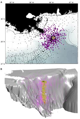 BP Gulf Science Data Reveals Ineffectual Subsea Dispersant Injection for the Macondo Blowout